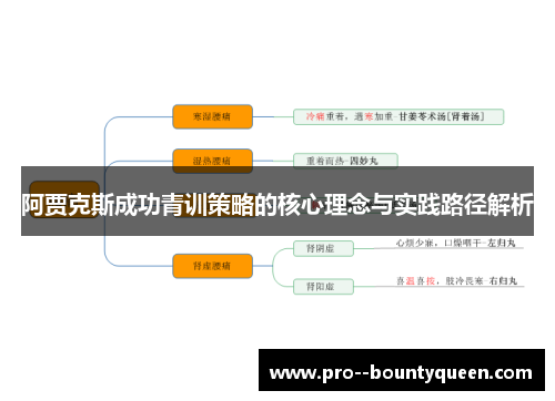 阿贾克斯成功青训策略的核心理念与实践路径解析