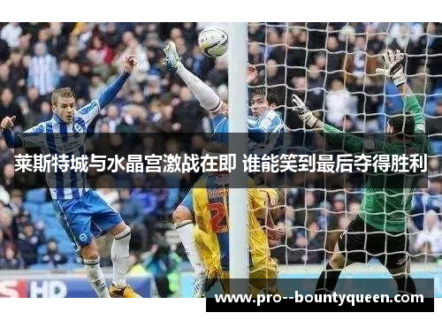 莱斯特城与水晶宫激战在即 谁能笑到最后夺得胜利