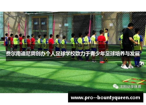 费尔南迪尼奥创办个人足球学校致力于青少年足球培养与发展