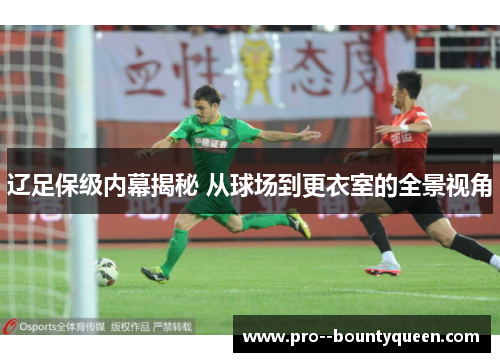 辽足保级内幕揭秘 从球场到更衣室的全景视角